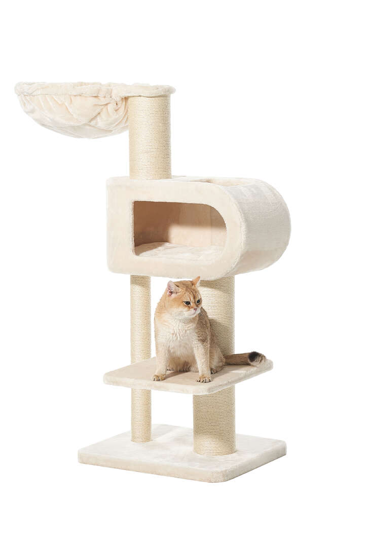 Nobby Kratzbaum Tove